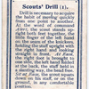 Scouts' Drill (I).