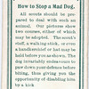 How to stop a mad dog.