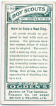 How to stop a mad dog.