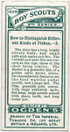 How to Distinguish Different Kinds of Fishes. - 2.