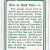 How to Hold Pets. - 1.