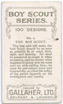 The Boy Scout.