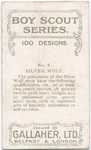Boy Scouts Series.