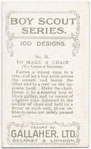 Boy Scouts Series.