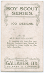 Boy Scouts Series.