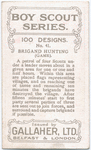 Boy Scouts Series.