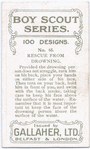 Boy Scouts Series.