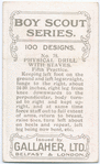 Boy Scouts Series.