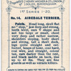Airedale Terrier.
