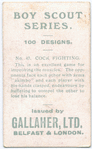Cock Fighting.