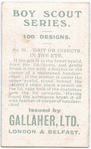 Grit or Insects in the Eye.
