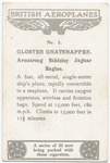 Gloster Gnatsnapper.