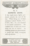 Sopwith Snipe.