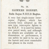 Hawker Hornet.