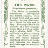 The Wren.
