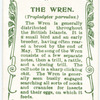 The Wren.