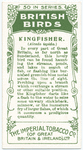 Kingfisher.