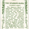 The Sparrow-Hawk.