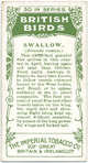 Swallow.
