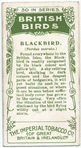 Blackbird.