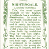 Nightingale.