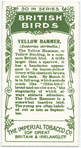 Yellowhammer.