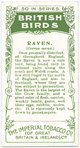 Raven.