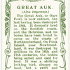 Great Auk.