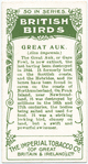 Great Auk.
