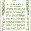 Corncrake.