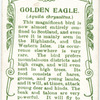 Golden Eagle.