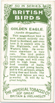 Golden Eagle.
