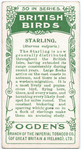 Starling.