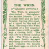 Wren.