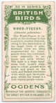 Wood-pigeon.