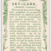 Sky lark.