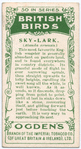 Sky lark.