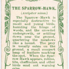 Sparrow-hawk.
