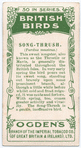 Song-thrush.