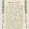 Swallow.