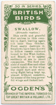Swallow.