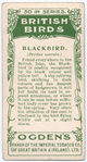 Blackbird.