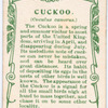 Cuckoo.