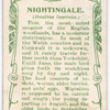 Nightingale.