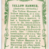 Yellowhammer.