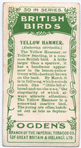 Yellowhammer.
