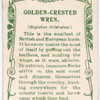 Golden-crested wren.