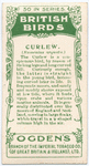 Curlew.