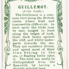 Guillemot.
