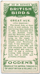 Great auk.